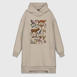Женская толстовка-платье Лесные животные и птицы