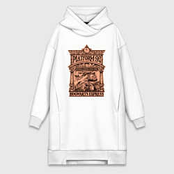 Женская толстовка-платье Хогвартс экспресс