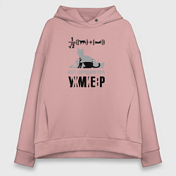Толстовка оверсайз женская Кот Шредингера, цвет: пыльно-розовый