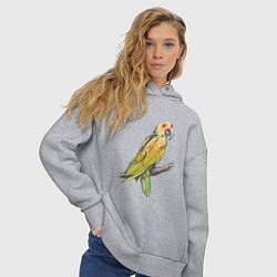 Толстовка оверсайз женская Любимый попугай, цвет: меланж — фото 2