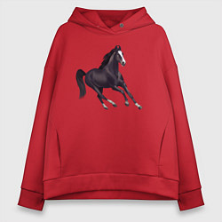 Толстовка оверсайз женская Марварская лошадь, цвет: красный