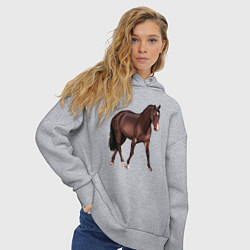 Толстовка оверсайз женская Австралийская пастушья лошадь, цвет: меланж — фото 2