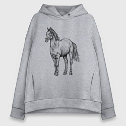 Толстовка оверсайз женская Лошадь стоит, цвет: меланж