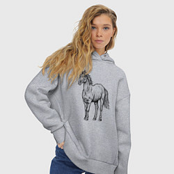 Толстовка оверсайз женская Лошадь стоит, цвет: меланж — фото 2