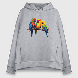 Толстовка оверсайз женская Разговор попугаев, цвет: меланж
