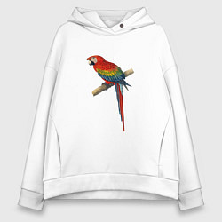 Толстовка оверсайз женская Попугай ara macaw, цвет: белый