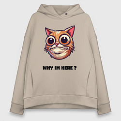 Толстовка оверсайз женская Зачем я здесь, цвет: миндальный