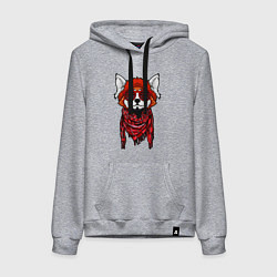 Толстовка-худи хлопковая женская Красная панда, цвет: меланж