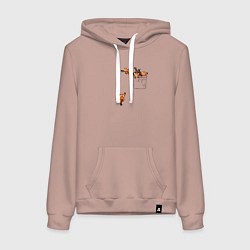Толстовка-худи хлопковая женская Красные панды в кармане, цвет: пыльно-розовый