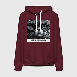 Толстовка-худи хлопковая женская Мем кот в очках: шерсть это приправа, цвет: меланж-бордовый