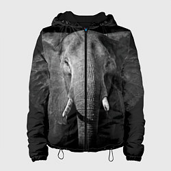 Куртка с капюшоном женская Взгляд слона, цвет: 3D-черный