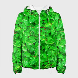 Женская куртка Зелёные листья - текстура