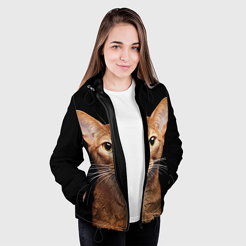 Женская куртка Молодая абиссинская кошечка / 3D-Черный – фото 3
