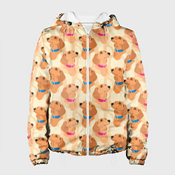 Куртка с капюшоном женская Таксы в голубых и розовых ошейниках, цвет: 3D-белый