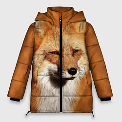 Куртка зимняя женская Хитрая лисичка, цвет: 3D-светло-серый