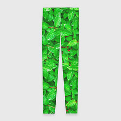 Женские легинсы Зелёные листья - текстура