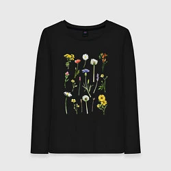Лонгслив хлопковый женский Акварельная иллюстрация полевых цветов, цвет: черный