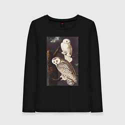 Лонгслив хлопковый женский Snowy Owl Сова, цвет: черный
