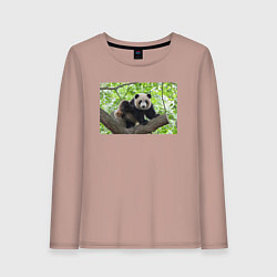 Лонгслив хлопковый женский Медведь панда на дереве, цвет: пыльно-розовый