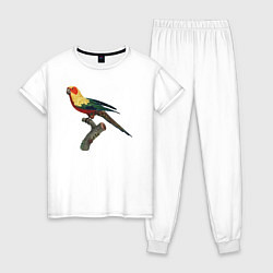 Пижама хлопковая женская Попугай аратинга, цвет: белый