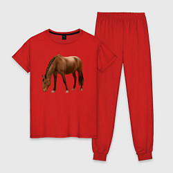 Пижама хлопковая женская Датская теплокровная лошадь, цвет: красный