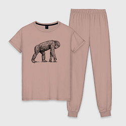 Пижама хлопковая женская Шимпанзе гуляет, цвет: пыльно-розовый