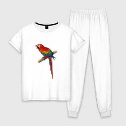 Пижама хлопковая женская Попугай ara macaw, цвет: белый