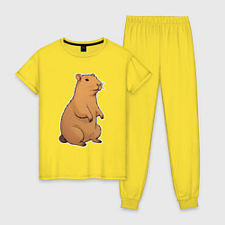 Женская пижама Звери капибара