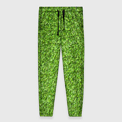 Брюки женские Зелёный газон, цвет: 3D-принт