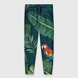 Брюки женские Тропики и попугаи, цвет: 3D-принт