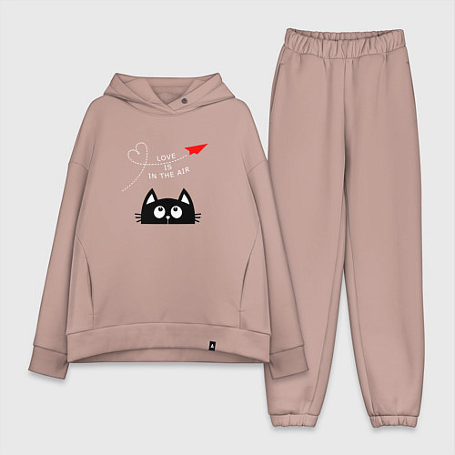 Женский костюм оверсайз Котик Самолётик / Пыльно-розовый – фото 1