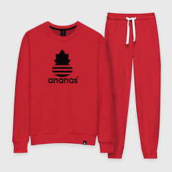 Костюм хлопковый женский Ananas - Adidas, цвет: красный