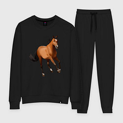 Костюм хлопковый женский Мустанг лошадь, цвет: черный