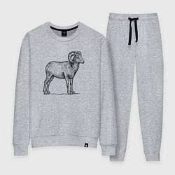 Костюм хлопковый женский Баран сбоку, цвет: меланж