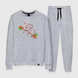 Костюм хлопковый женский Коала спит на ветке, цвет: меланж