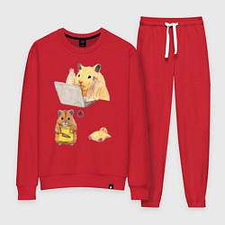 Женский костюм Хомяки за работой - распорядок дня мем