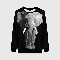 Свитшот женский Старый слон, цвет: 3D-черный