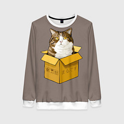 Свитшот женский Котик в коробке, цвет: 3D-белый