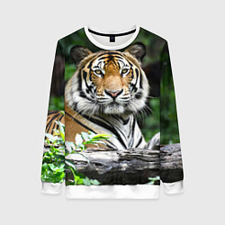 Свитшот женский Тигр в джунглях, цвет: 3D-белый