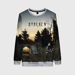 Свитшот женский СТАЛКЕР 1, цвет: 3D-меланж
