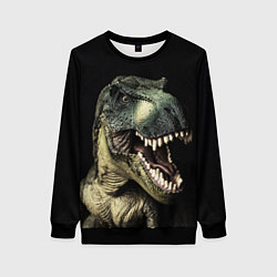 Свитшот женский Динозавр T-Rex, цвет: 3D-черный
