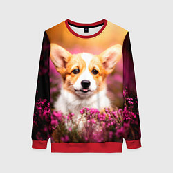 Свитшот женский Вельш-корги, цвет: 3D-красный