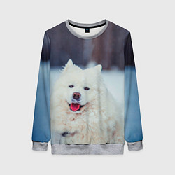 Свитшот женский САМОЕД, цвет: 3D-меланж