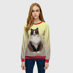Свитшот женский Персидская пушистая кошка, цвет: 3D-красный — фото 2