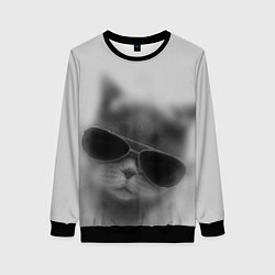 Свитшот женский Крутой кот в очках в тумане, цвет: 3D-черный