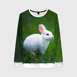 Свитшот женский Кролик на фоне травы, цвет: 3D-белый