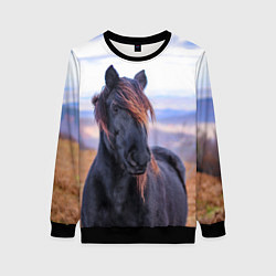 Свитшот женский Черный конь, цвет: 3D-черный