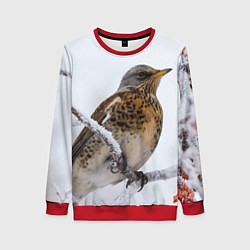 Свитшот женский Рябинник, цвет: 3D-красный