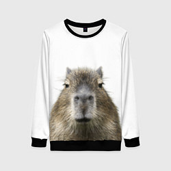 Свитшот женский Капибара пофигист, цвет: 3D-черный