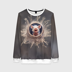 Свитшот женский Мордочка забавного поросёнка, цвет: 3D-белый